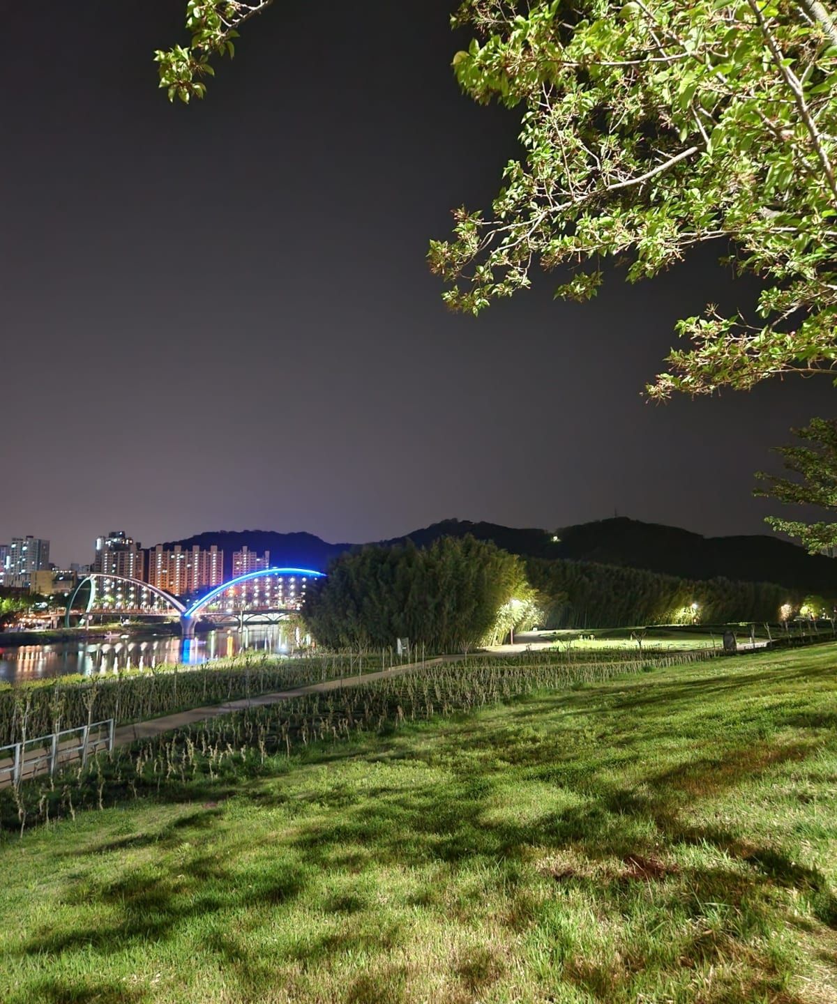 퇴근길 태화강 산책로